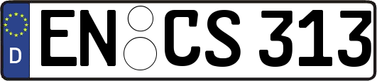 EN-CS313