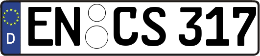 EN-CS317