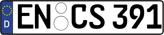 EN-CS391