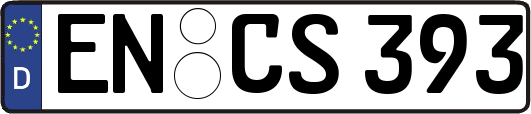 EN-CS393