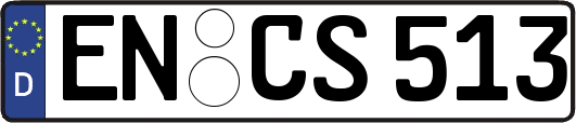 EN-CS513