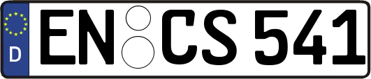 EN-CS541
