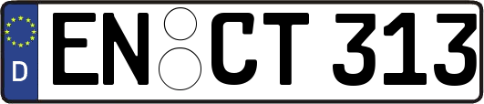 EN-CT313