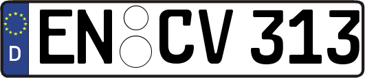 EN-CV313