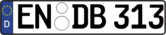EN-DB313