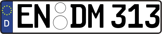 EN-DM313