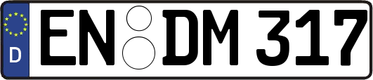 EN-DM317