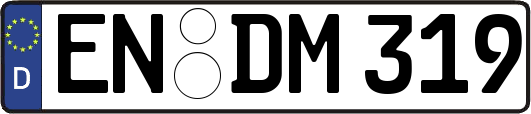 EN-DM319