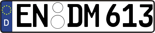 EN-DM613