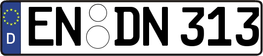 EN-DN313
