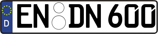 EN-DN600