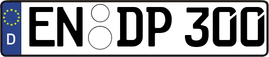 EN-DP300