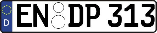 EN-DP313