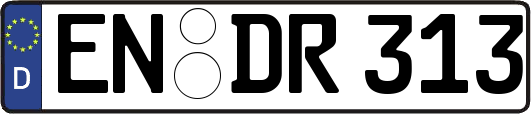 EN-DR313