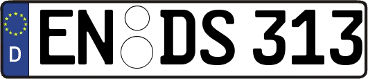 EN-DS313