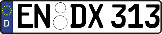 EN-DX313
