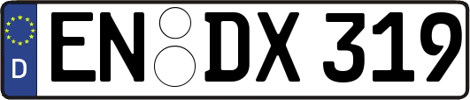 EN-DX319