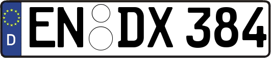 EN-DX384