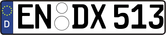 EN-DX513
