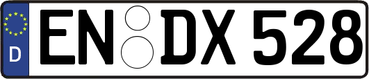 EN-DX528