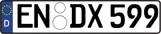 EN-DX599