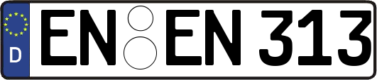 EN-EN313