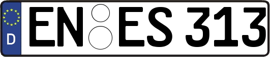 EN-ES313