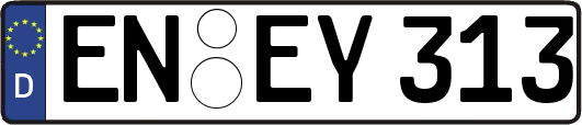 EN-EY313