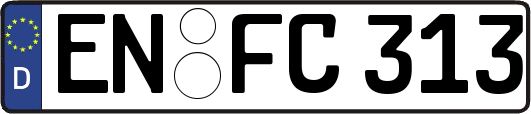 EN-FC313