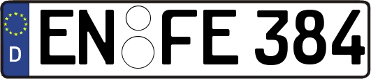 EN-FE384