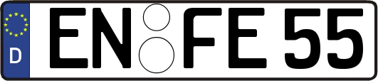 EN-FE55