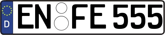 EN-FE555