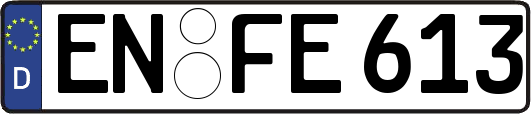 EN-FE613