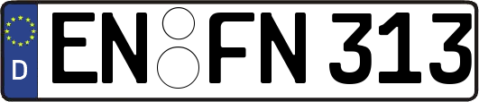EN-FN313