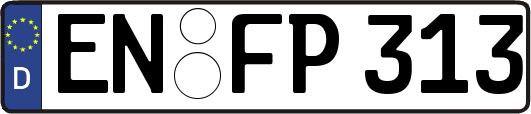 EN-FP313