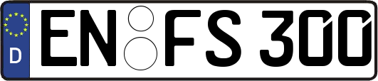 EN-FS300