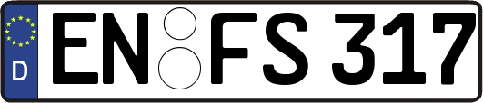 EN-FS317