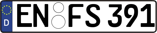 EN-FS391