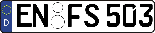 EN-FS503