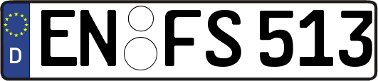 EN-FS513