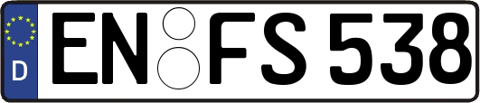 EN-FS538
