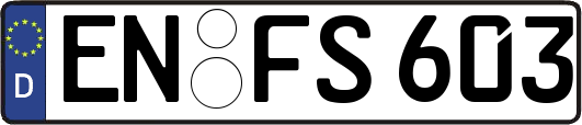 EN-FS603