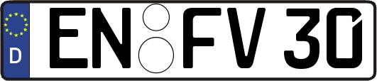 EN-FV30