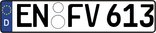 EN-FV613