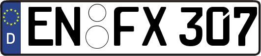 EN-FX307