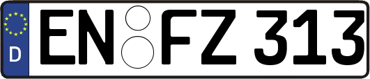 EN-FZ313