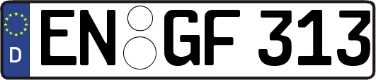 EN-GF313