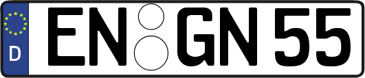 EN-GN55