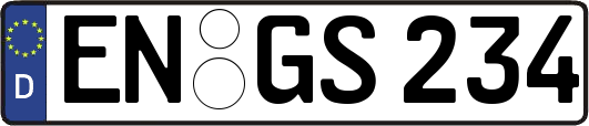 EN-GS234