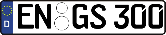 EN-GS300